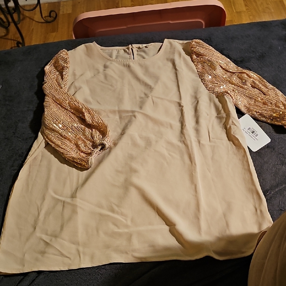 Main Strip Beige Blouse with Sequin Sleeves